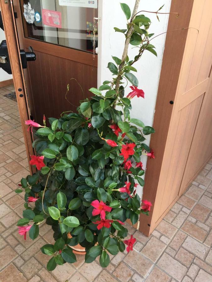 U’ Fore B&B Relax garden Noci Exterior foto